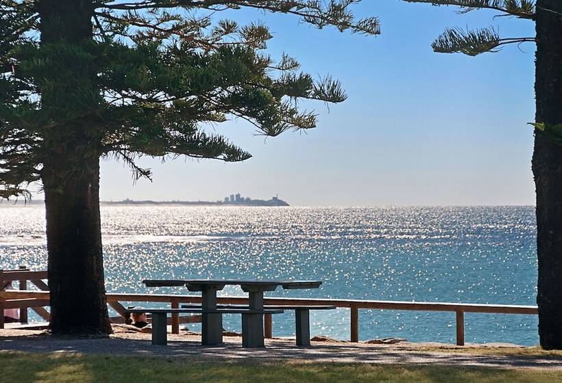 Norfolks On Moffat Beach