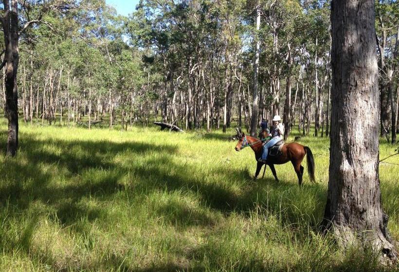 منتجع Susan River Homestead