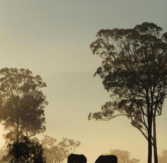 منتجع Susan River Homestead