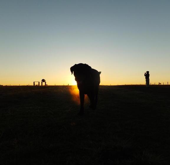 منتجع Susan River Homestead