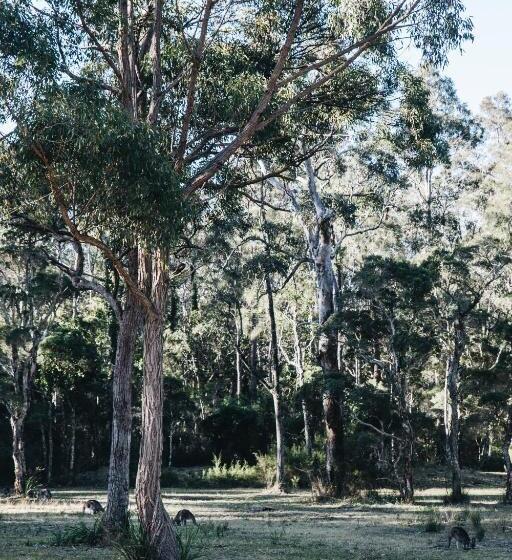 אתר נופש Worrowing Jervis Bay