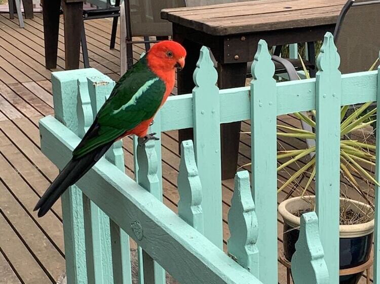 The Goat And Goose Bed & Breakfast