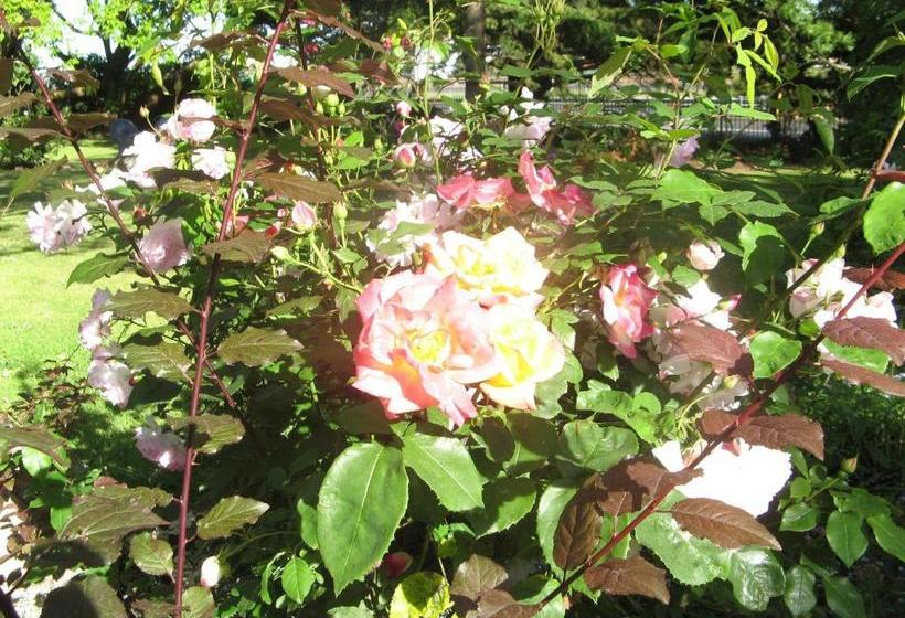 Westella Colonial B&b Accommodation