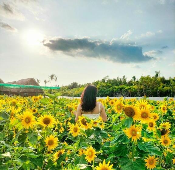 تختخواب و صبحانه Khu Du Lịch Sinh Thái Nghỉ Dưỡng Mientay Lodge