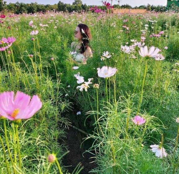 تختخواب و صبحانه Khu Du Lịch Sinh Thái Nghỉ Dưỡng Mientay Lodge