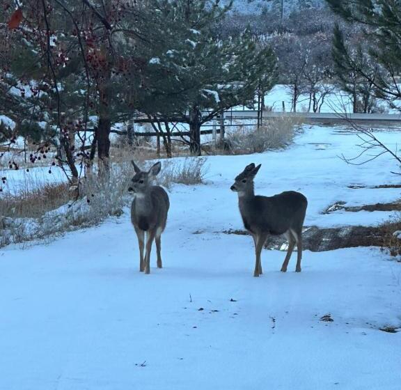 민박 Mount Peale Country Inn