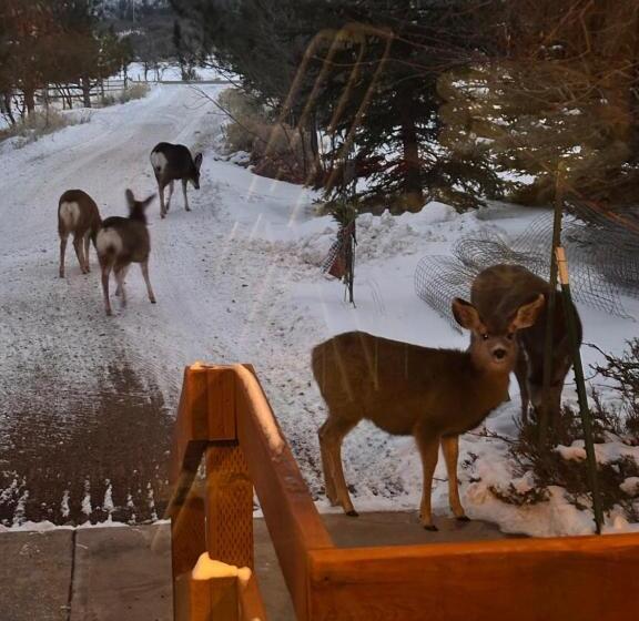 민박 Mount Peale Country Inn