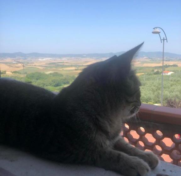 ベッドアンドブレックファースト Room With Panoramic Vista