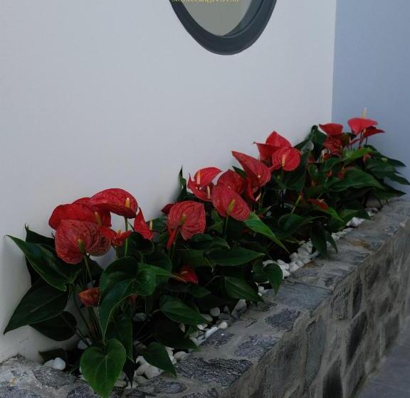 هتل Aboli Homestay