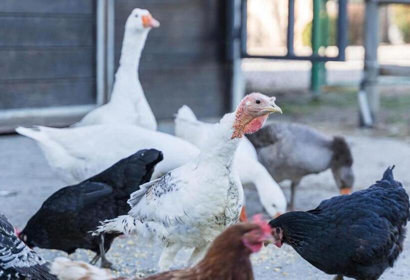 בית מלון כפרי Agriturismo   La Campagna Di San Francesco