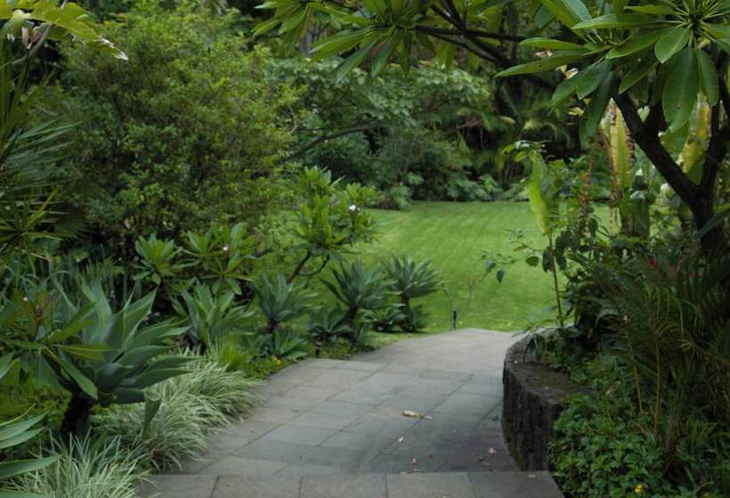 Cuernavaca Eden Hotel Boutique Doble