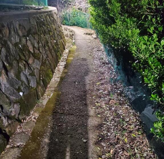 پانسیون The Act Of Seeing The Sky