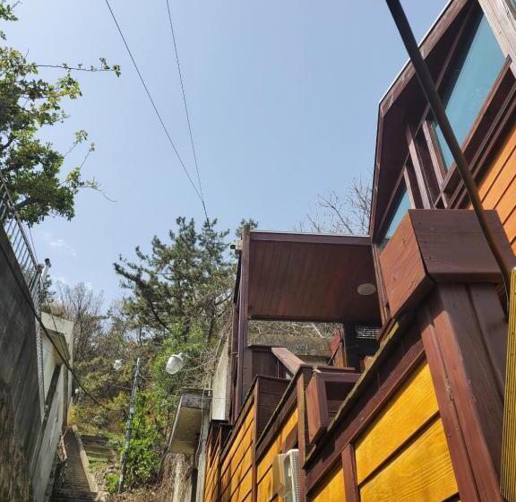 پانسیون The Act Of Seeing The Sky