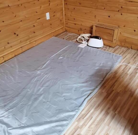 پانسیون The Act Of Seeing The Sky