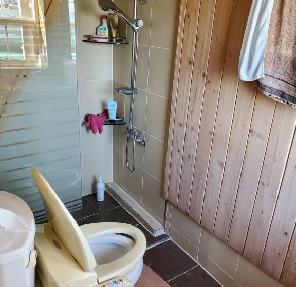 پانسیون The Act Of Seeing The Sky