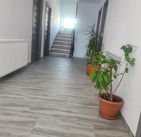 Пансион Casa Alexander