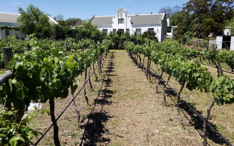 بنسيون De Kleine Kelder