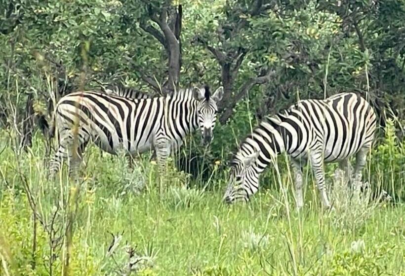 ペンション Jade Mountain Cottage 玉山小屋