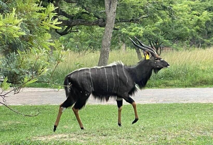 ペンション Jade Mountain Cottage 玉山小屋