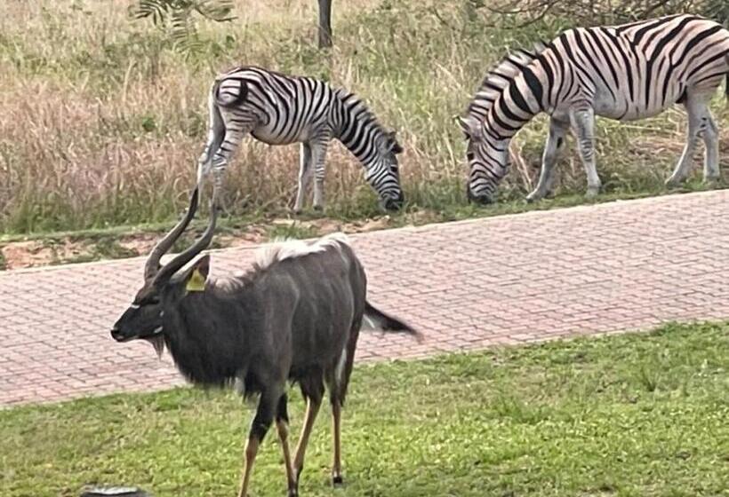 ペンション Jade Mountain Cottage 玉山小屋