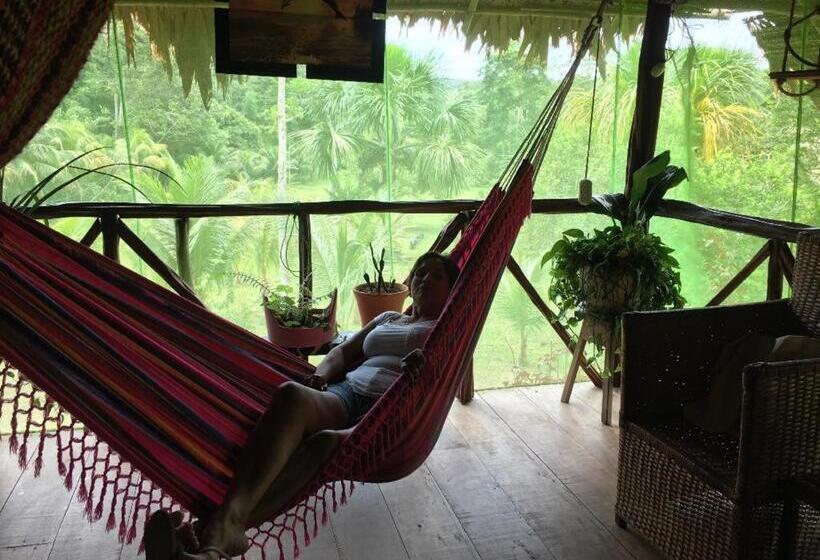 پانسیون Villa Chachyta