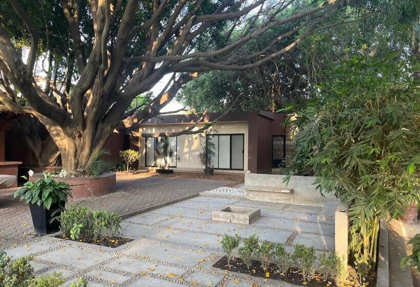 פנסיון Villa La Mini