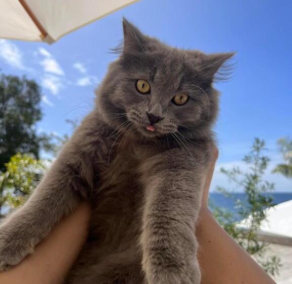 South Cape Beach Resort