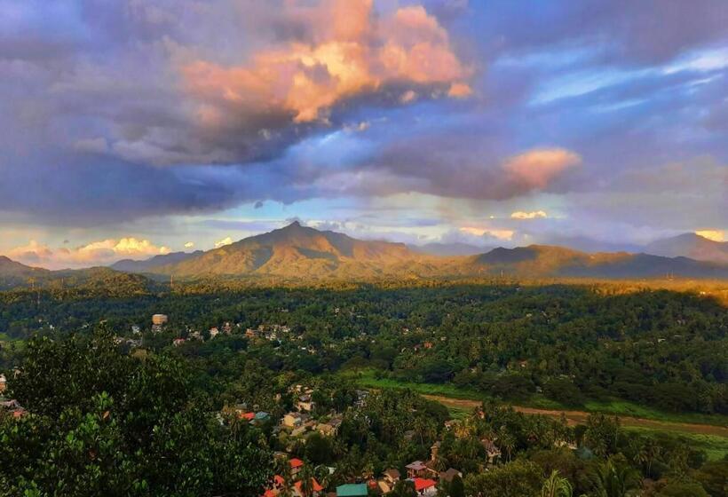 Bed and Breakfast Dream House Residence