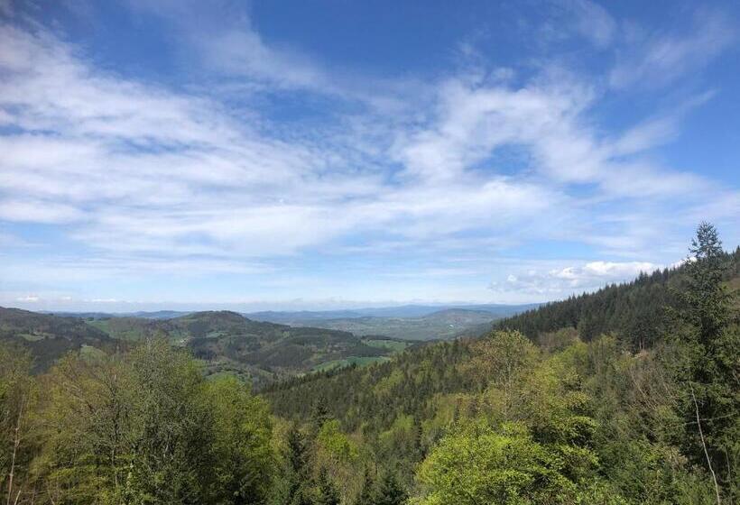 Bed and Breakfast Chambres Et Tables D Hôtes Les Ateliers De Pontajou Pèlerin Navette Gratuite à Saugues