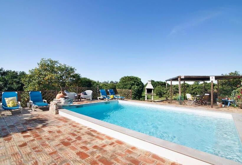 Bed and Breakfast Quinta Tapada Dos Machados