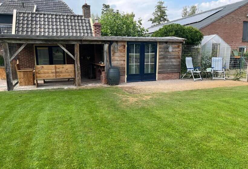 ベッドアンドブレックファースト T Pothuuske