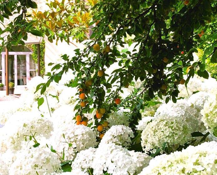 צימר Tenuta Moncarlino