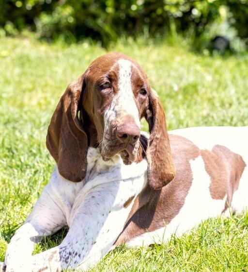 צימר Tenuta Moncarlino