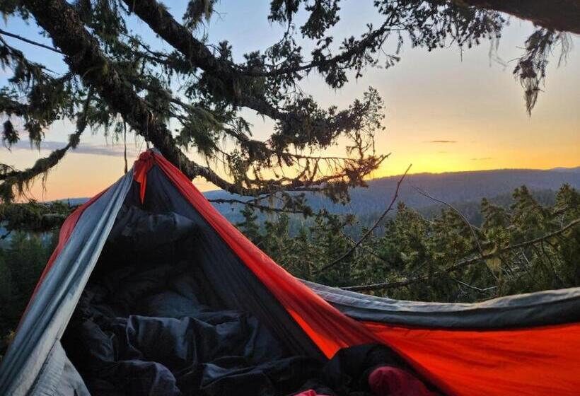 Bed and Breakfast Tree Climbing At Silver Falls