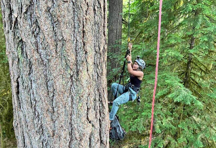 Bed and Breakfast Tree Climbing At Silver Falls