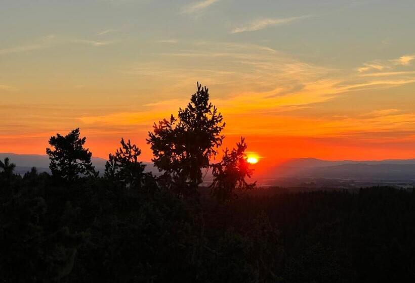 Bed and Breakfast Tree Climbing At Silver Falls