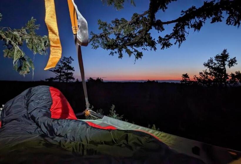 Bed and Breakfast Tree Climbing At Silver Falls