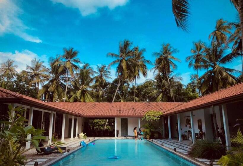 ベッドアンドブレックファースト Villa Blue Lotous