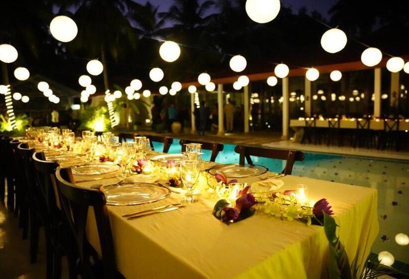 ベッドアンドブレックファースト Villa Blue Lotous