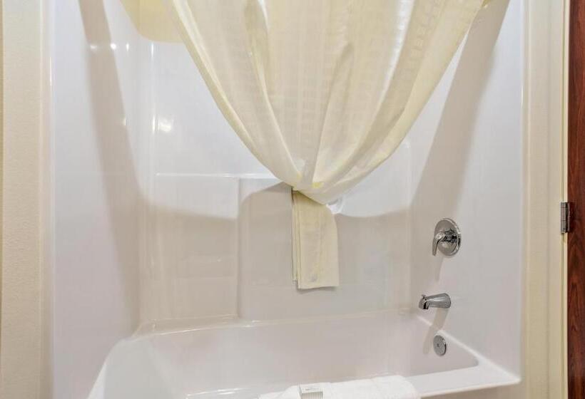 Cobblestone Hotel & Suites   Rhinelander