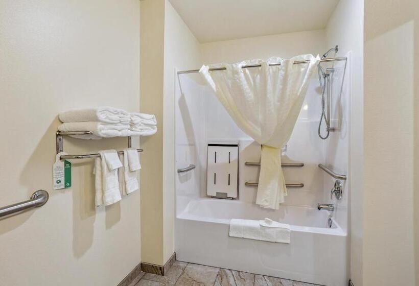 Cobblestone Hotel & Suites   Rhinelander