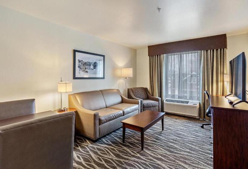 Cobblestone Hotel & Suites   Rhinelander