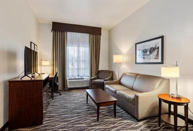 Cobblestone Hotel & Suites   Rhinelander