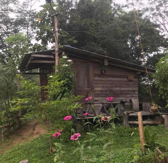 酒店 สวนบ้านนอก Suanbaannoak