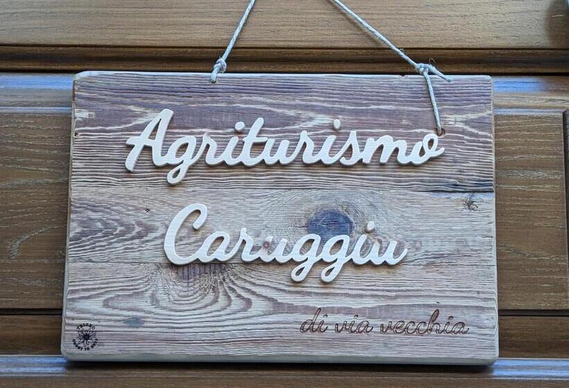 בית מלון כפרי Agriturismo Caruggiu Di Via Vecchia