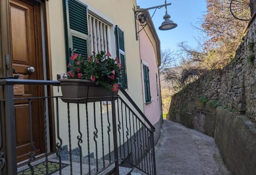 בית מלון כפרי Agriturismo Caruggiu Di Via Vecchia