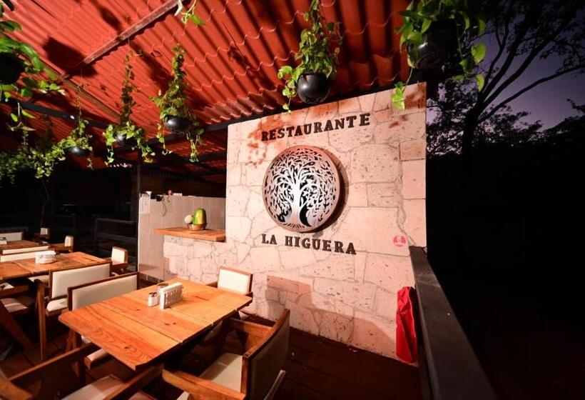 호텔 Cabañas Yyukkai