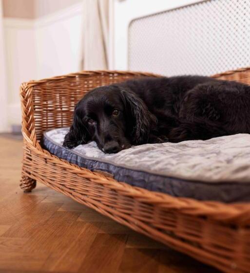 فندق The Pavilion Bisley