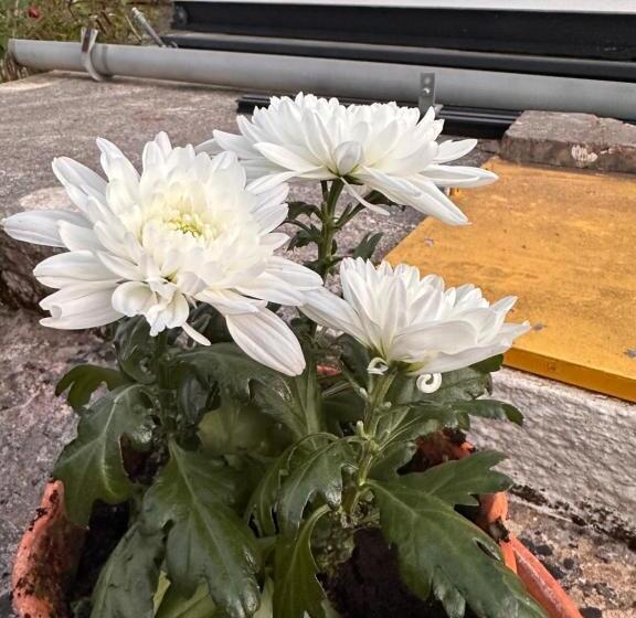 פנסיון Casa Do Largo