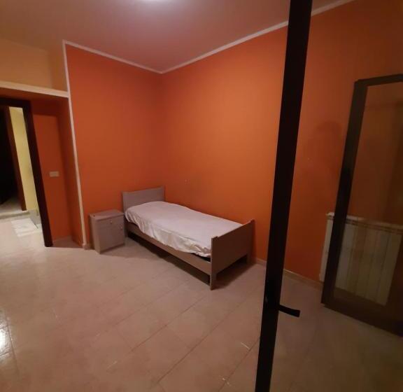 Пансион Cat Shouse